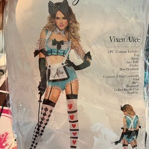 Woman’s Alice Costume